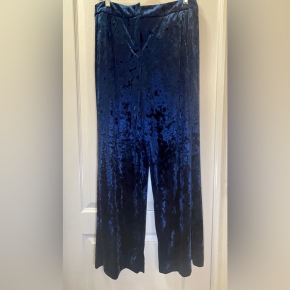 Cynthia Rowley Pants - Cynthia Rowley Blue Velvet Pants